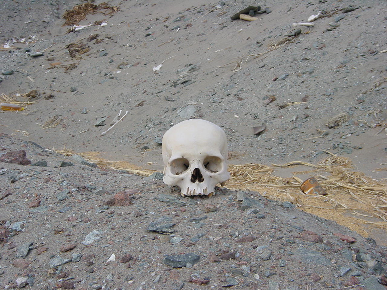 C_AREQUIPA_NAZCA__KRANIE_VE