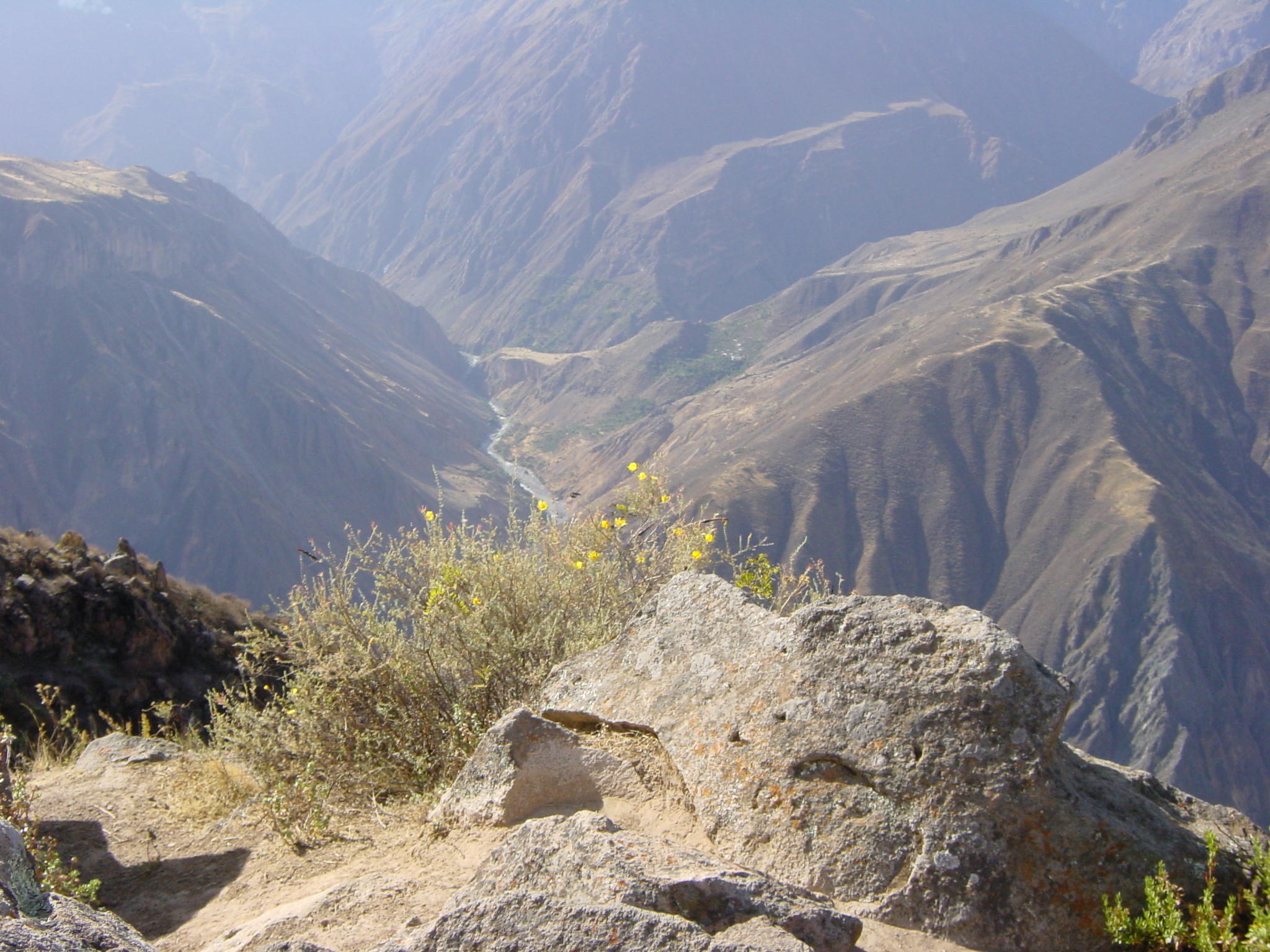 C_COLCA_CANYON2