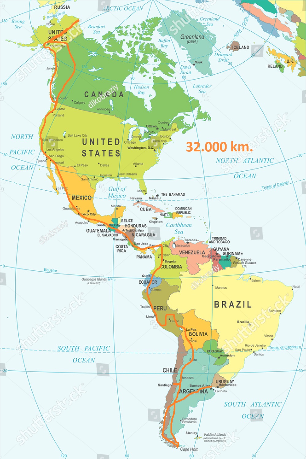 Rute